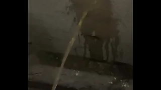 1018 public porn videos